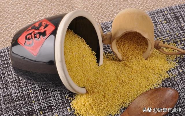 黑小米的功效与作用，养生常喝小米粥有什么作用