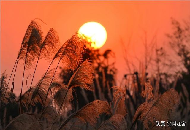 夕阳红烟雾图片,烟雾图片高清