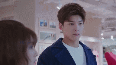 邢昭林图片:如何评价邢昭林、白鹿主演的《世界欠我一个初恋》这部剧