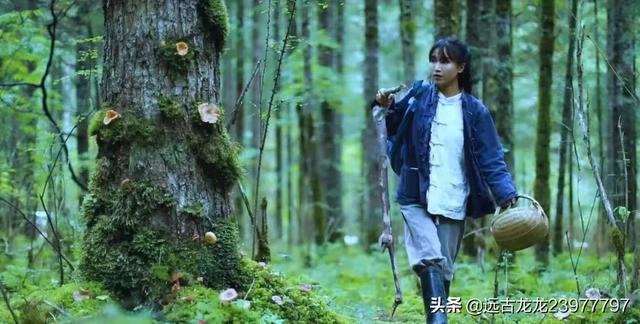 为什么感觉李子柒不如以前红了(李子柒为什么会这么火)