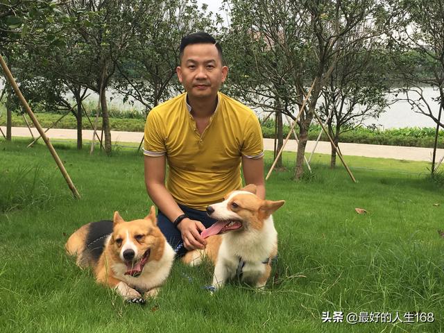 狗有多少品种,你喜欢哪种,如何饲养？