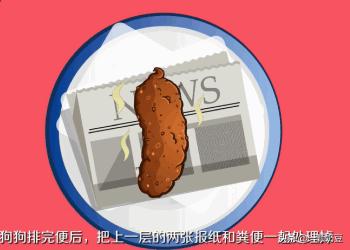 怎么训练狗大小便啊:怎样怎么训练狗狗大小便？