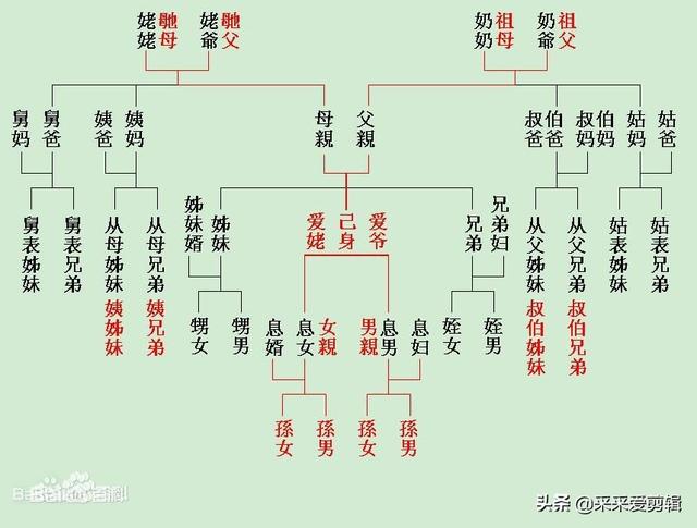在血缘关系中表妹和堂妹,哪个的血缘关系更近一些？