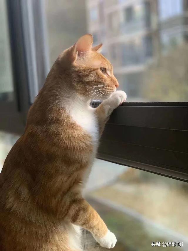 对孩子来说游戏是不是洪水猛兽,是利大于弊,还是弊大于利？