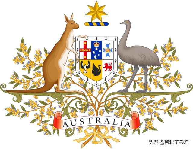 约克夏梗和澳大利亚梗:澳洲国徽上的动物是袋鼠和鸸鹋！为什么没有考拉？谁才是国宝？