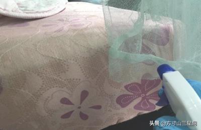 怎样消灭跳蚤:怎样消灭跳蚤彻底 家里有跳蚤，怎，么有效的消灭跳蚤？