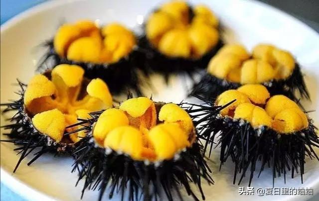 海产八珍:渤海湾产哪些海鲜，知道的达人请告知下，谢谢~~~？