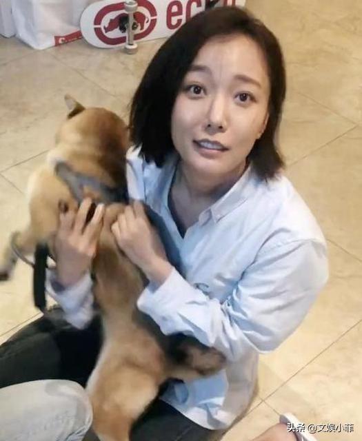 明星宠物狗图片大全:为什么有些女演员喜欢养狗？