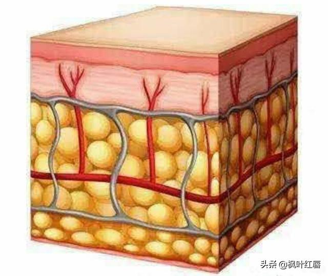 水解胶原纤脸面膜胶(水解胶原精华面膜)
