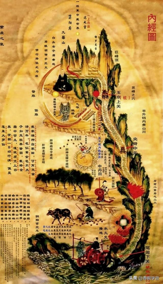 大禹的资料:如果有人说大禹是走路一跳一跳的瘸子你相信吗？