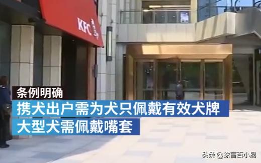米格鲁犬遛弯能放狗绳吗:为什么有人提倡公共场合禁止遛狗？