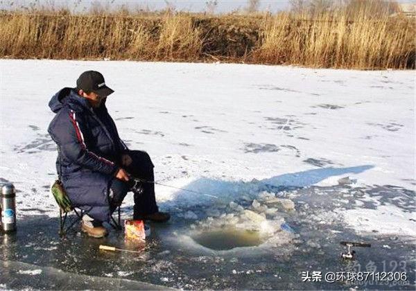 鱼饵料鲫鱼冬天:霜降了怎么钓鲫鱼，该用什么饵料？