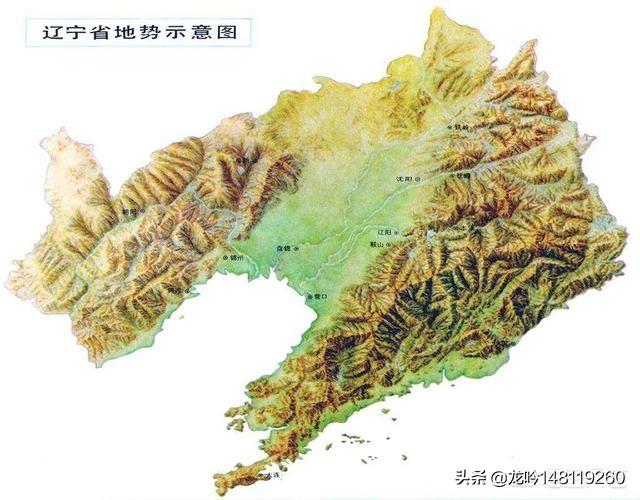 出生于辽宁的明星、名人、科学家和著名主持人有哪些？你最喜欢谁？插图65