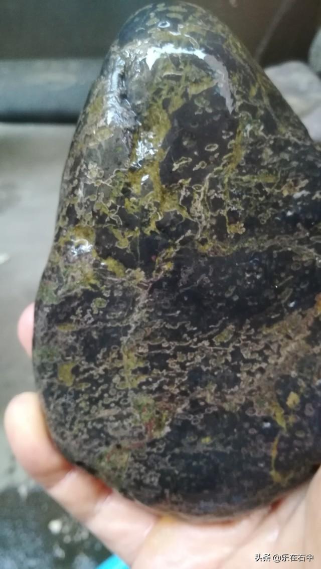 晒晒你的文玩宝贝。都是怎么保养的？插图101