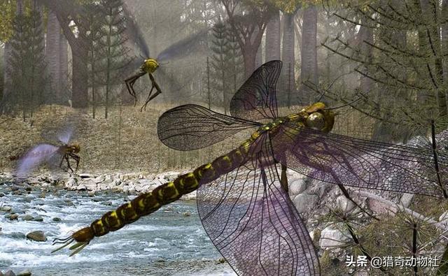 为什么远古时代有体型巨大的生物,比如巨齿鲨、恐龙、巨异鸟？是基因、食物、环境还是其他因素造就的？