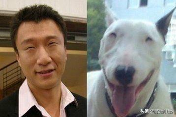 沈春阳图片:为什么有些人攻击沈春阳？