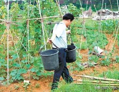 二手貂笼:二手貂皮回收价格大约多少 为什么淘宝上的貂皮大衣那么便宜，3-5k就能买一件。靠谱吗？