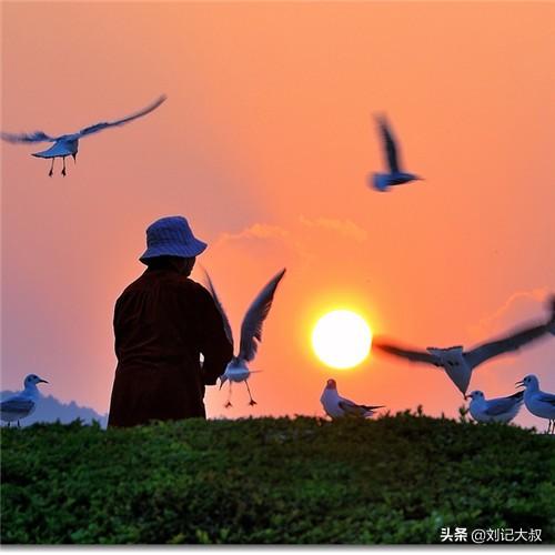 中老年人用微信是一种什么样的体验