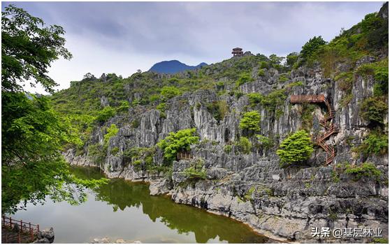 龙存在已证实内蒙古，贵州大山里的“龙吟”声，专家说是鸟叫。你信吗