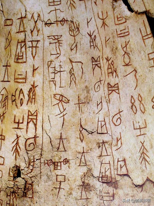 大概体李:你知道的中国汉字字体有多少种？