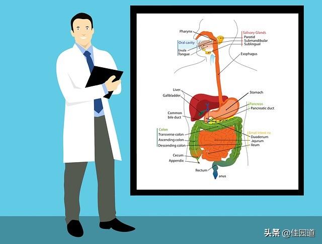 左面脖子有异物感觉,颈部疼痛，吞咽有异物感？