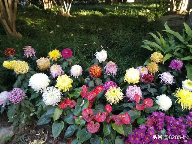 自己不花钱怎样训狗:“人，最好要培养点不花钱的兴趣爱好，让自己不空虚”你怎么看？
