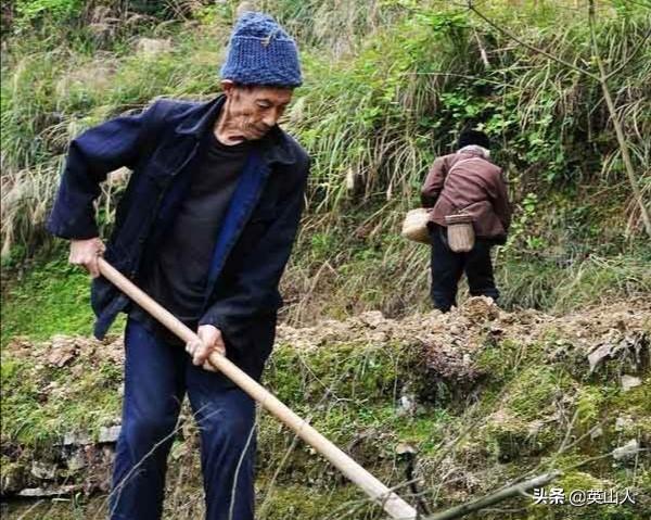 破烂小仙配合是王道歌词:在外打工20年了，不想打工了，在家做点什么生意比较好？