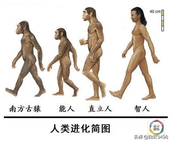 地球人到底是从外星移民过来的还是进化过来的？