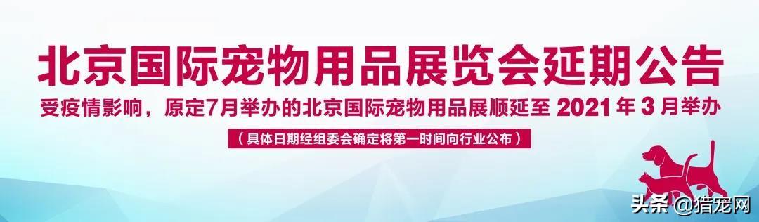 北京宠物用品展:2020年宠物相关行业展会有哪些？各自的优势在哪里？