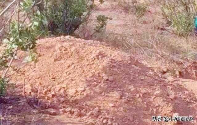孙娜恩整容:“活埋生母案”细节曝光，引发养恩与育恩的思考，你怎么看