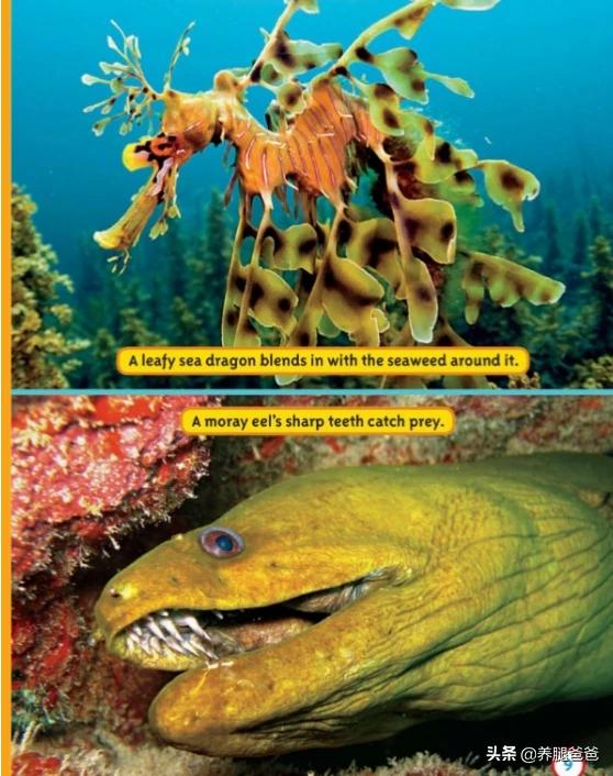 科普中国官网,有没有介绍自然现象的科普绘本推荐？