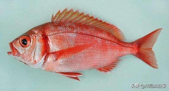 头条问答 - 怎样做加吉鱼?(8个回答)