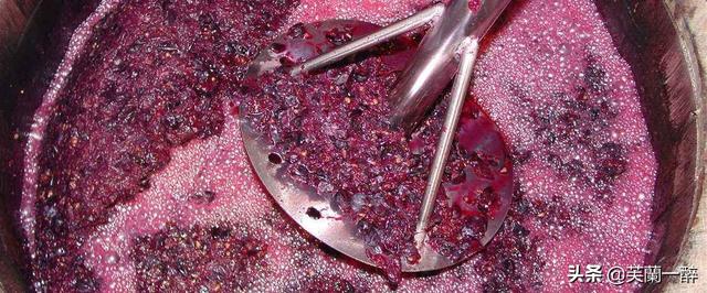葡萄酒酿造:红酒的发酵是怎么做到的呢？