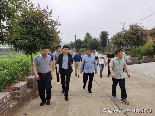 市直单位科长和乡镇镇长,如果是你该如何选择？