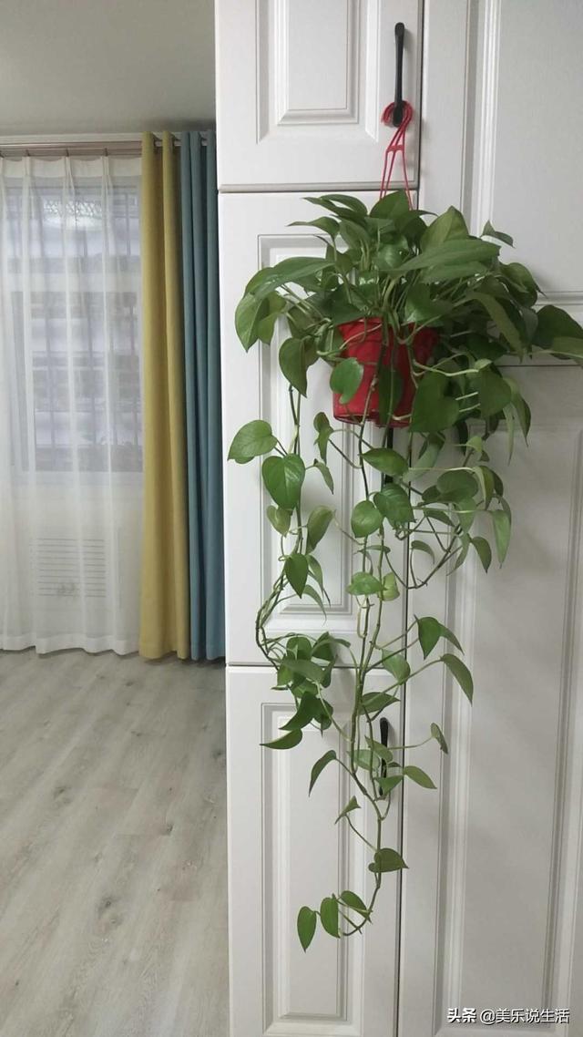 判断房子干净最快方法,如何把房子装得干干净净大大方方呢？