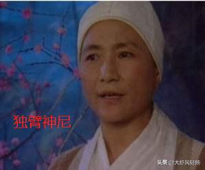 独臂神尼:独臂神尼的弟子不少，她的大弟子了因和尚武功如何？