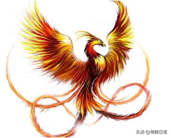 头条问答 - 龙和凤凰是虚构的生物,为什么全世界的人都知道它们?