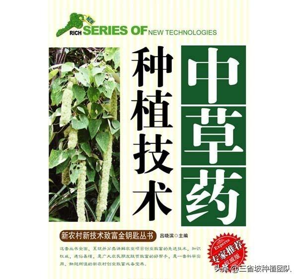 农民种植中药材,如何能赚到钱？