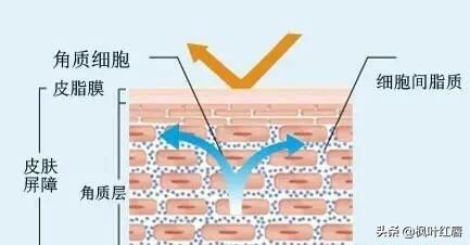 去角质对痘痘有用吗,男生用去角质凝胶效果怎么样？