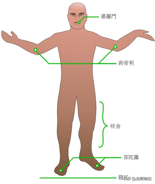 巴基斯坦沙猫:沙特和巴基斯坦是怎样的关系？