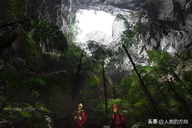 数学为什么没有列在四大天坑专业中？