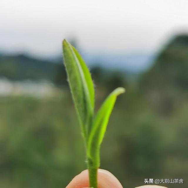 我们忙着奋斗,拼搏,甚至没有时间快乐,那么生命的意义在哪里？