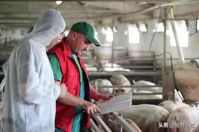 湖北搞什么家庭养殖业比较赚钱:养殖业什么前景最好？养殖业什么最赚钱？