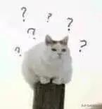 自制猫粮:要想俘获主子的心，就要抓住它的胃，如何制作美味又健康的猫食？ 自制猫粮鸡胸肉