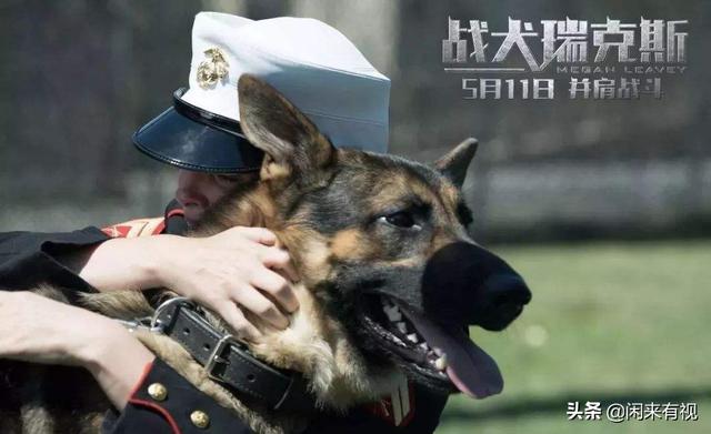 抗日战争军犬电影:如何评价电影《战犬瑞克斯》？