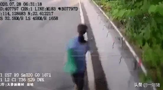 黄有龙是谁的司机:深圳公交司机行车中捡水杯，撞死违规行走路人，谁的责任更大