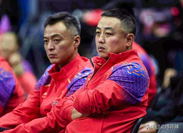 王浩个人资料:王皓为何现在不担任樊振东的场外教练了呢？你怎么看？