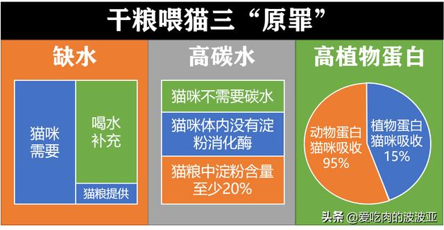 猫咪打完疫苗后能吃猫罐头鱼吗:猫咪要做绝育手术了，需要哪些注意事项，绝育之后猫咪会健康吗？ 猫咪打完疫苗可以吃猫罐头吗