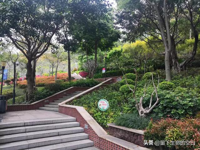 从事一个行业久了,在一个地方待久了,遇到瓶颈期了？该怎么办呢？