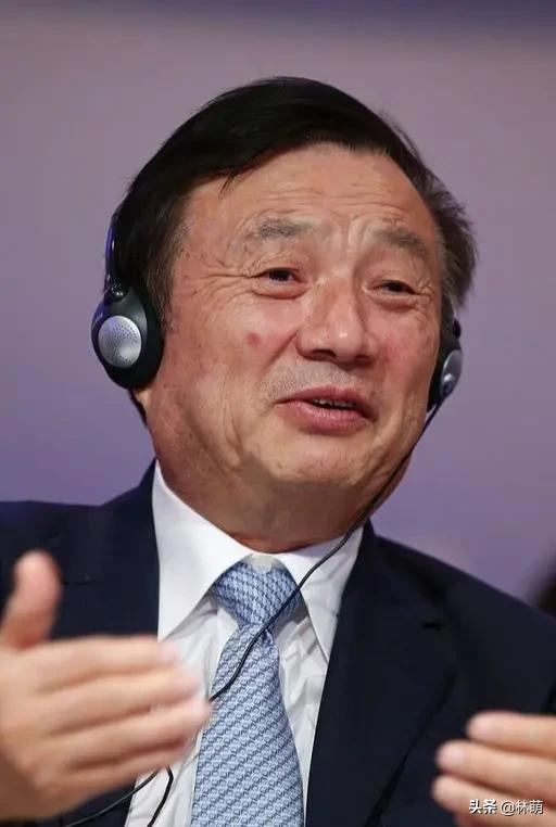 王东岳先生言：人生草木一秋，毫无意义。那人又该如何活下去呢？